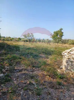 Non-structural plot Galižana, Vodnjan, 4.546m2 – 2