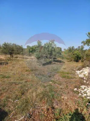 Non-structural plot Galižana, Vodnjan, 4.546m2 – 3