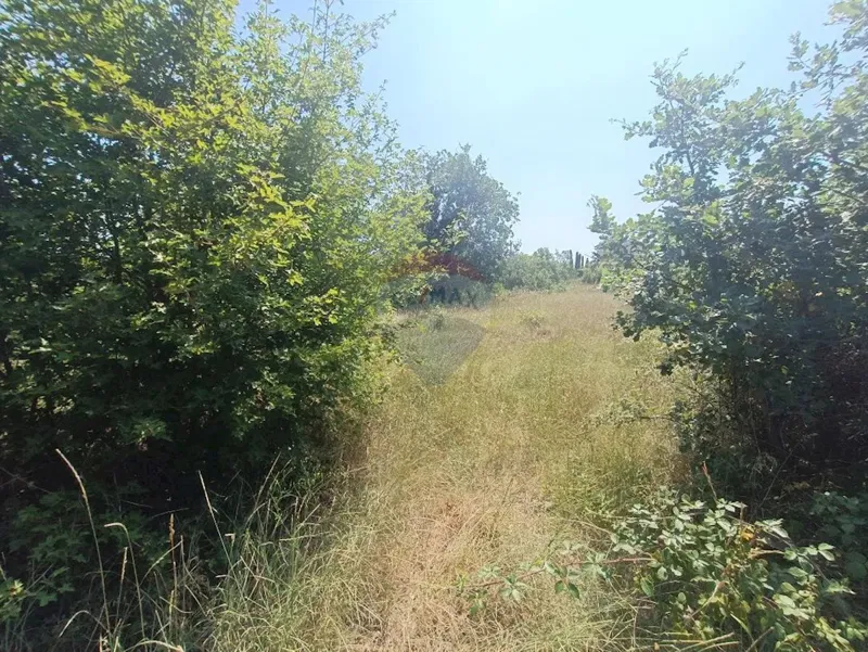 Building plot Smoljanci, Svetvinčenat, 3.337m2 – 2