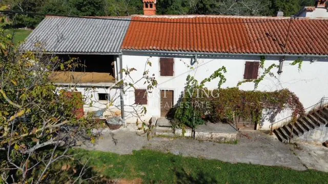 Žminj - okolica, autohtono istarsko imanje u središtu Istre – 3