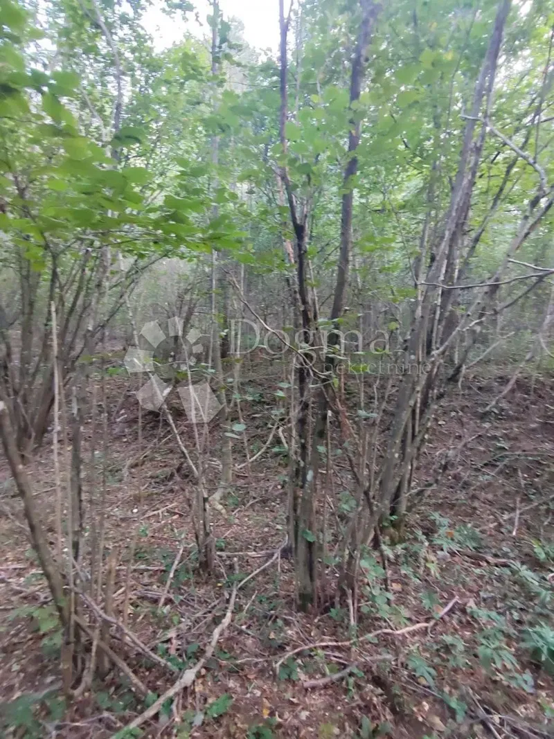 Земля Klana, 2.640m2 – 3
